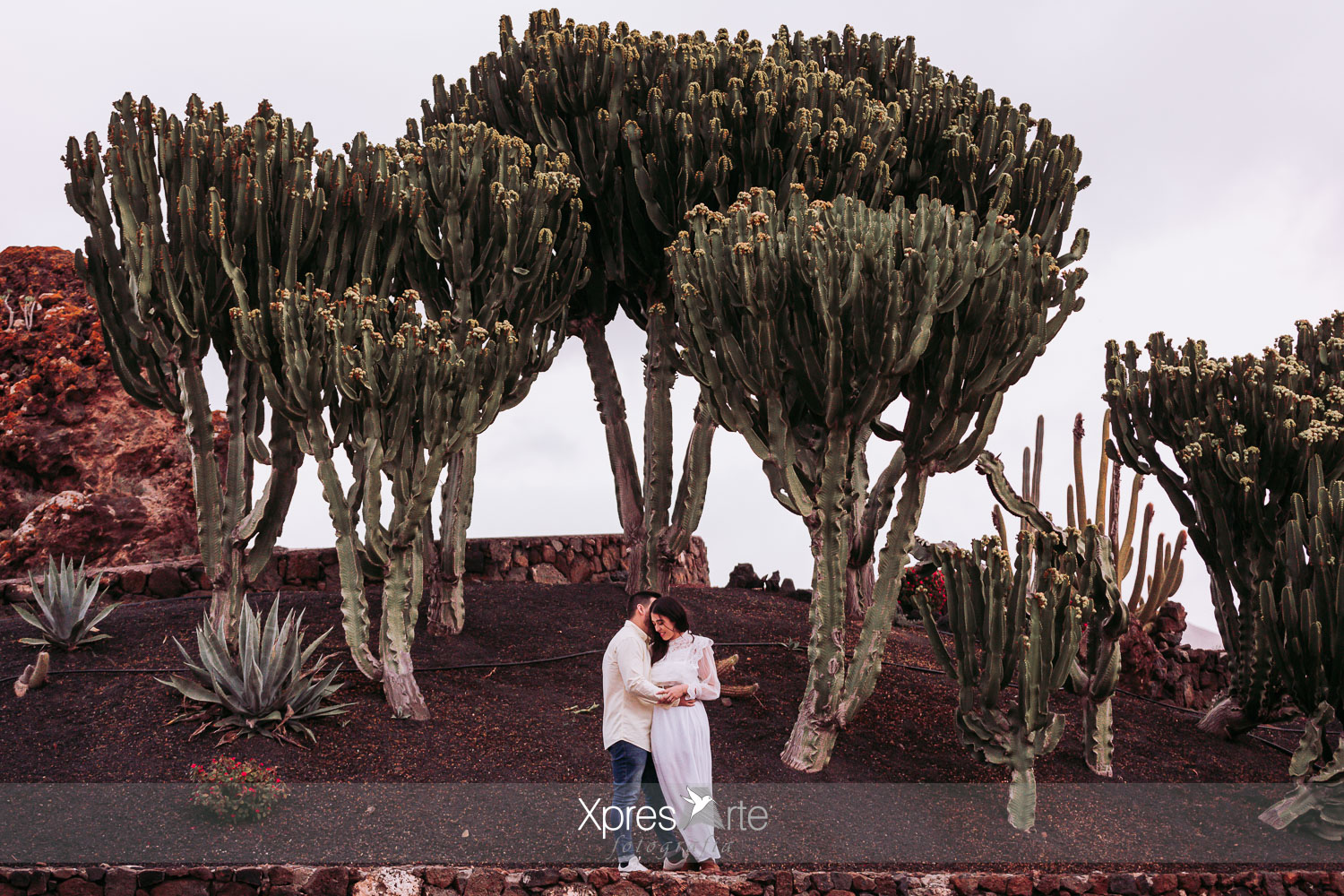 novios entre los cactus